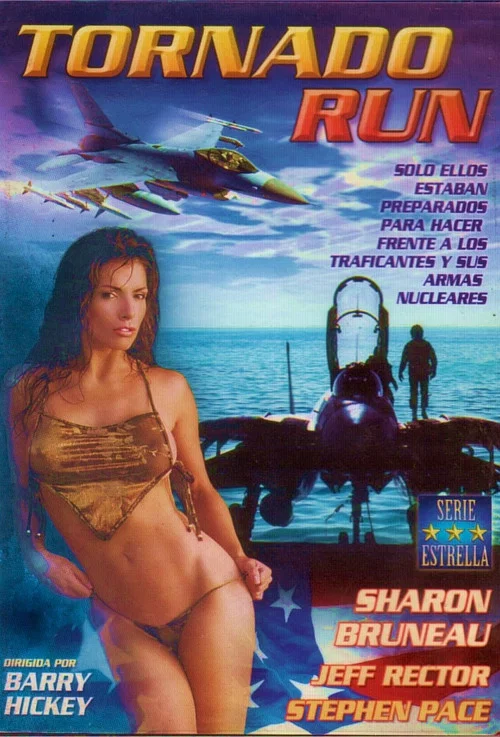獵鷹出擊(1995)海報