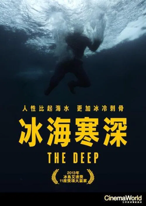 冰海寒深(2012)海报