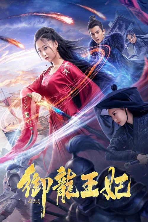 御龙王妃(2019)海报
