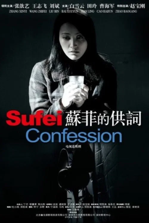苏菲的供词(2009)海报