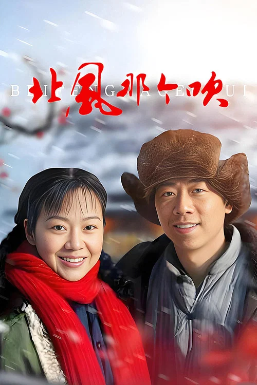 北風那個吹(2009)海報