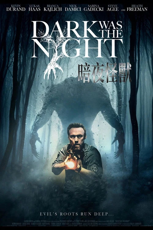 漆黑如夜(2014)海報