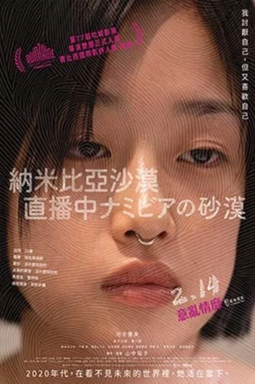 纳米比亚的沙漠剧照2