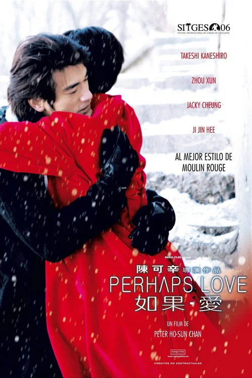 如果·爱(2005)海报