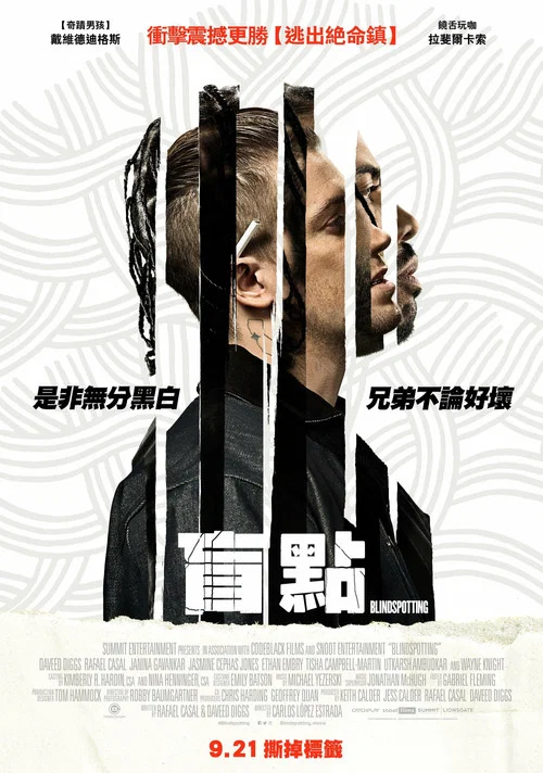 盲点剧照2