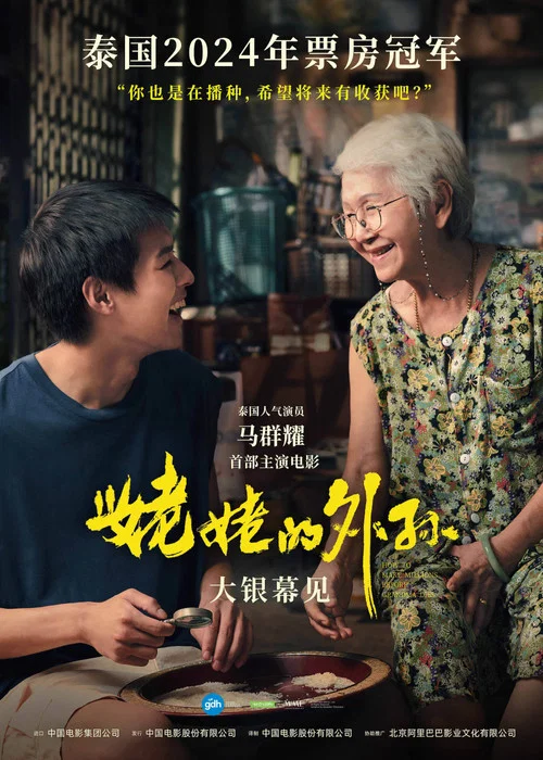 姥姥的外孙剧照3