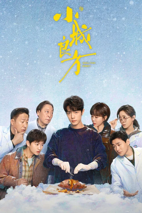小城良方(2026)海报