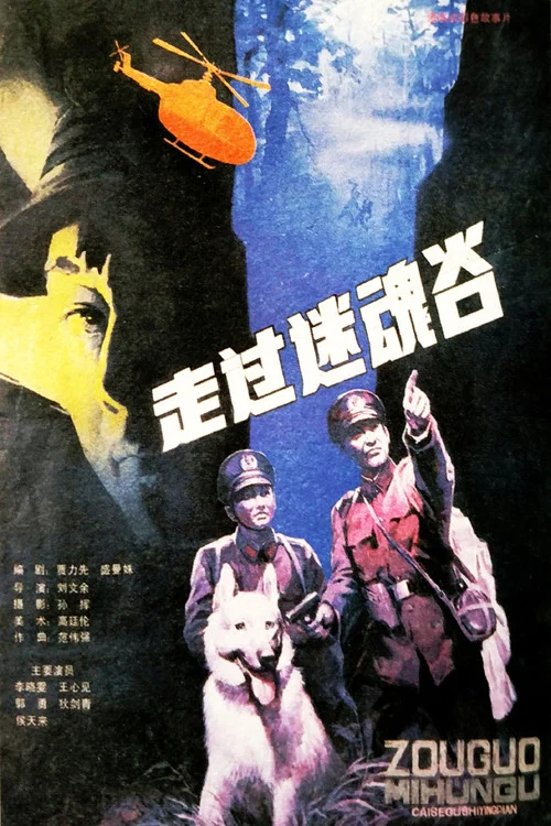 走過迷魂谷(1987)海報