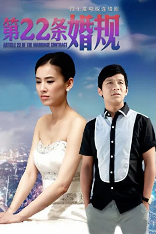第22条婚规(2013)海报