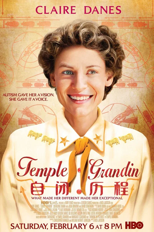 自閉歷程(2010)海報