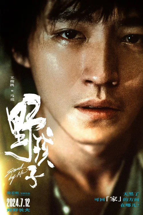 野孩子剧照12