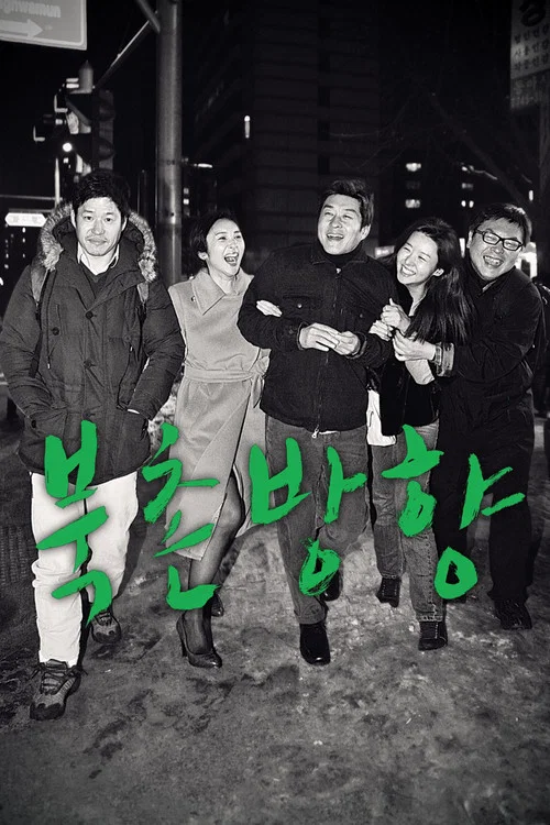 北村方向(2011)海报