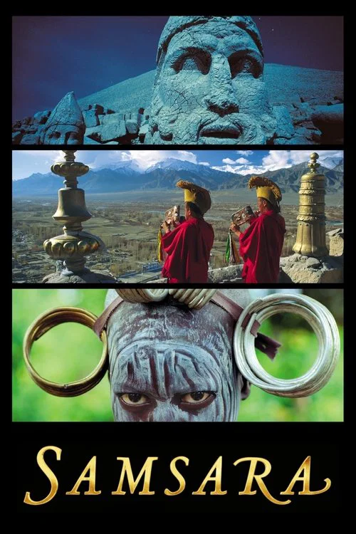 轮回(2011)海报
