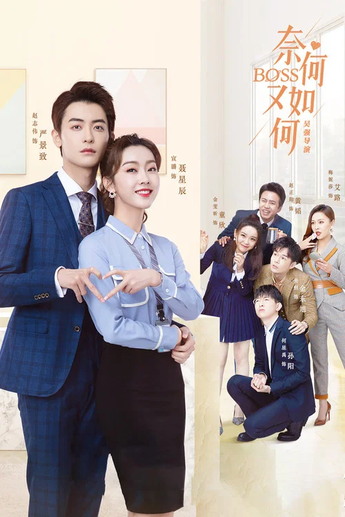 奈何BOSS又如何(2020)海报