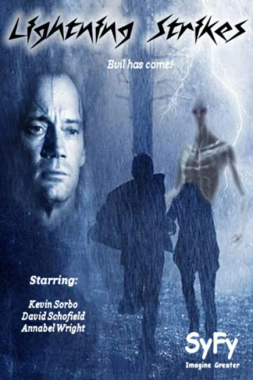 閃電襲擊(2009)海報