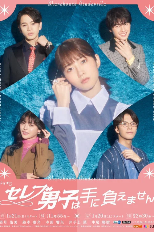 名流男子太棘手(2024)海報