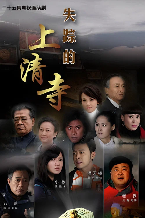 失踪的上清寺(2010)海报
