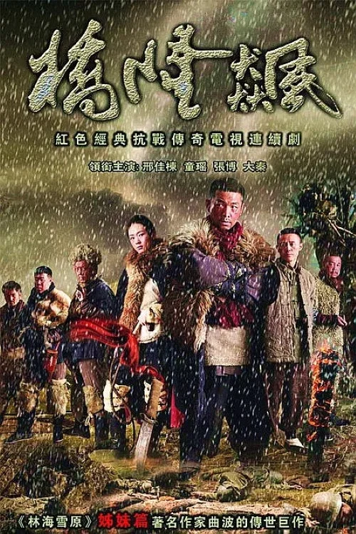 桥隆飙(2010)海报