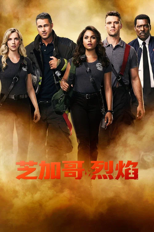 芝加哥烈焰第四季剧照7