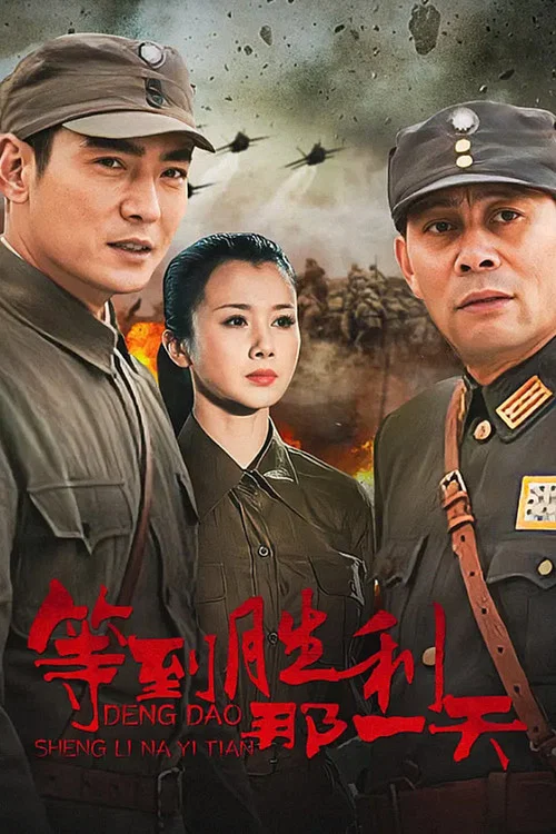 等到胜利那一天海报