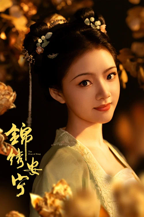 锦绣安宁剧照8