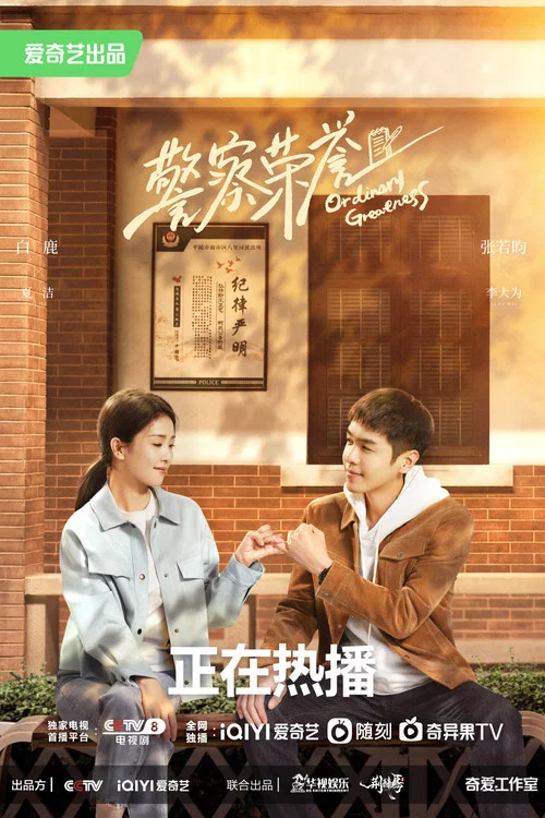 警察荣誉剧照2