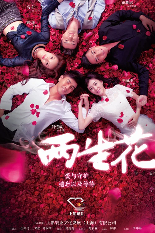 兩生花(2015)海報