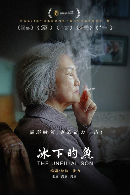 冰下的鱼海报