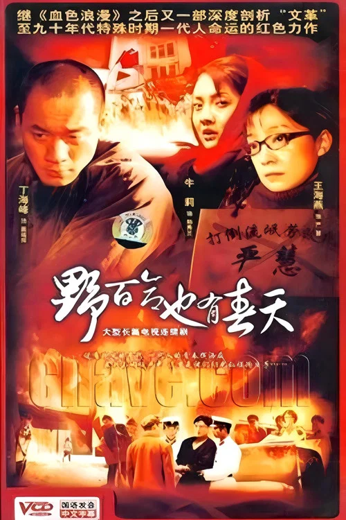 野百合也有春天(2007)海报