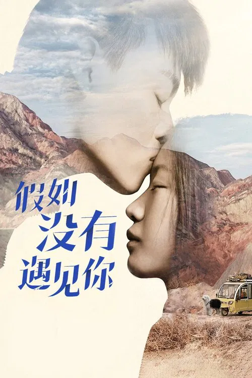 假如没有遇见你海报
