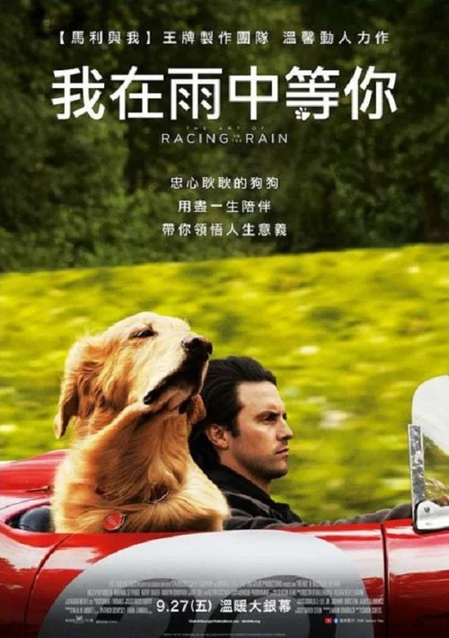我在雨中等你(2019)海报