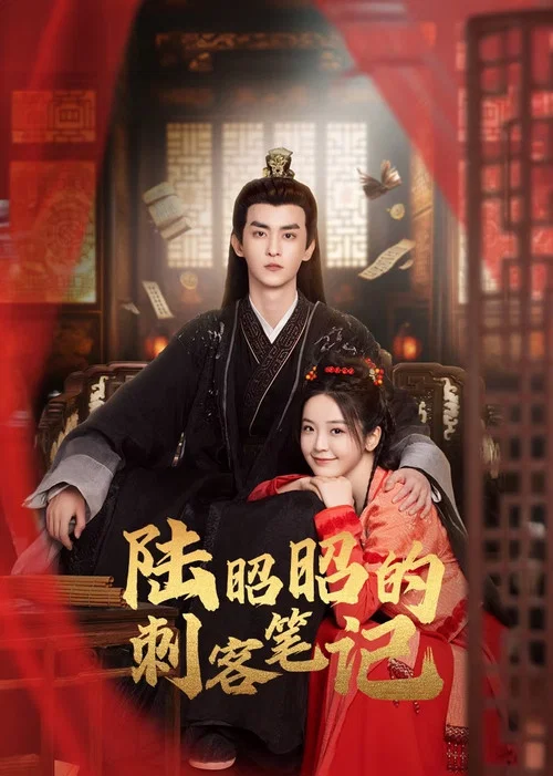 陆昭昭的刺客笔记(2024)海报