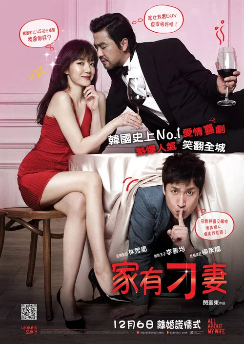 我妻子的一切(2012)海報