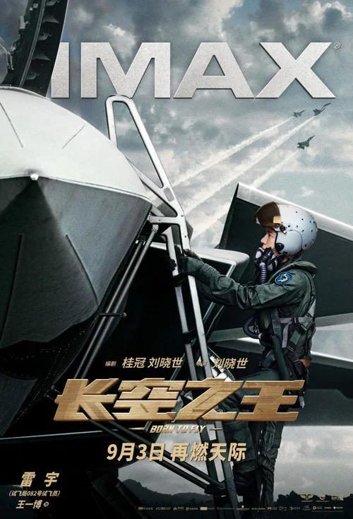 長空之王劇照12