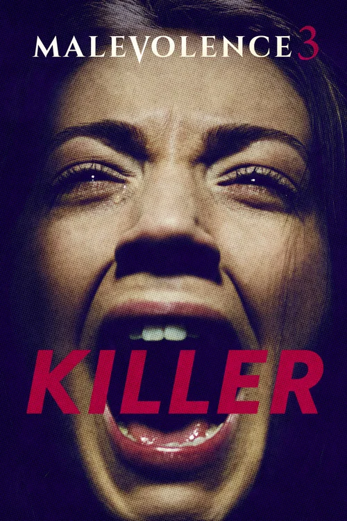 怨恨3 殺手(2018)海報
