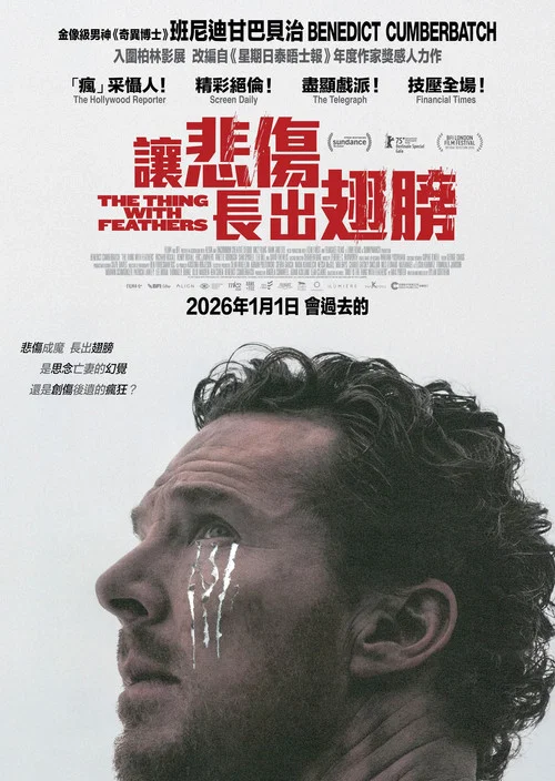 長翅膀的東西(2025)海報