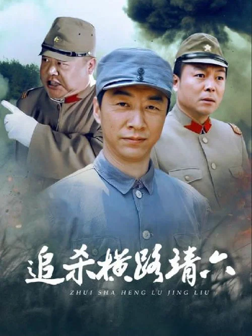 追杀横路靖六(2008)海报