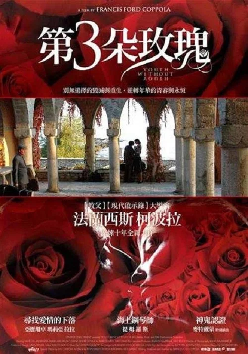 没有青春的青春(2007)海报