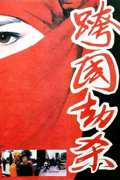 跨國劫殺(1995)海報