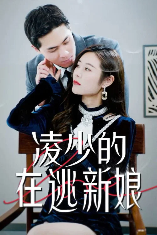 凌少的在逃新娘(2024)海报