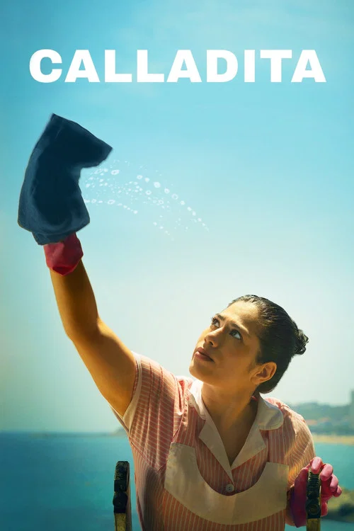 沉默的女僕(2024)海報