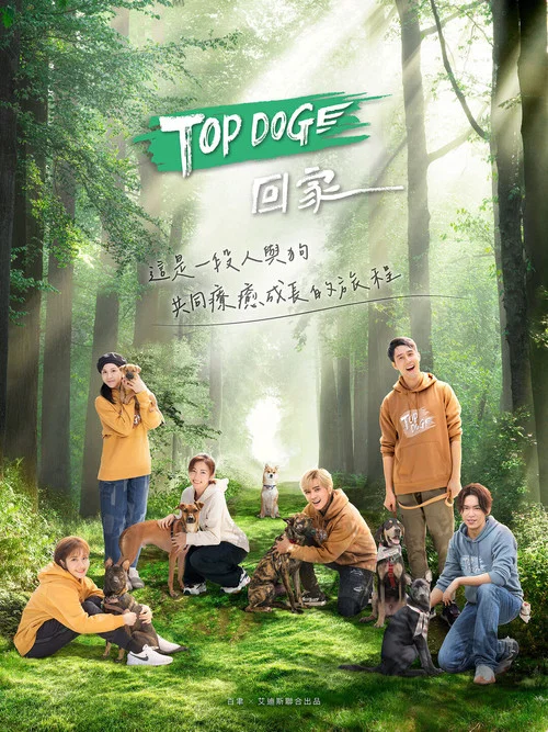 TOP DOG(2023)海报