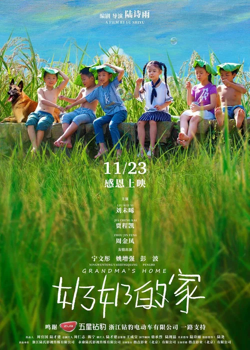 奶奶的家(2018)海報