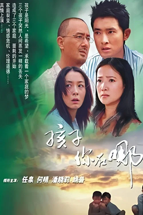 孩子你在哪里(2006)海报
