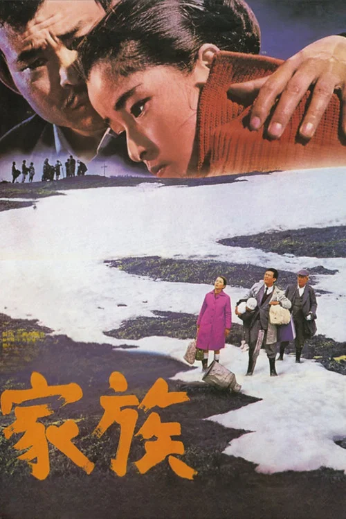 家族1970(1970)海报