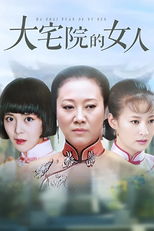 大宅院的女人(2009)海報