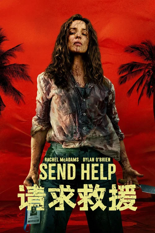 请求救援(2026)海报
