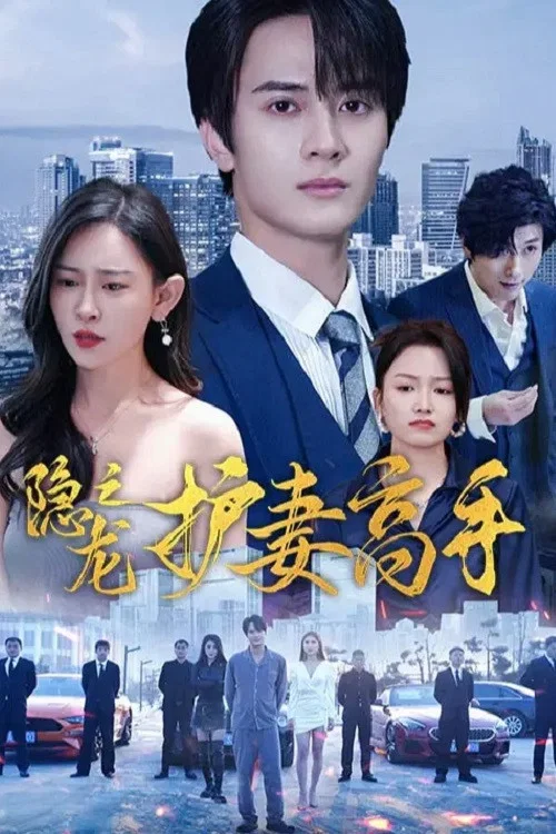 隱龍之護妻高手(2024)海報
