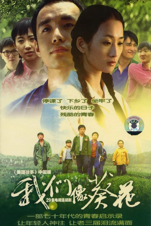 我们像葵花(2006)海报
