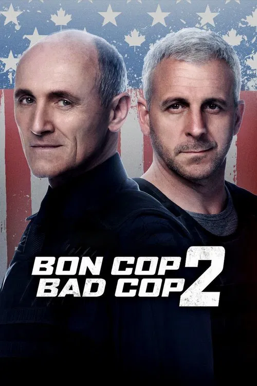 好警察壞警察2(2017)海報